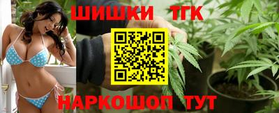 МДПВ Моздок